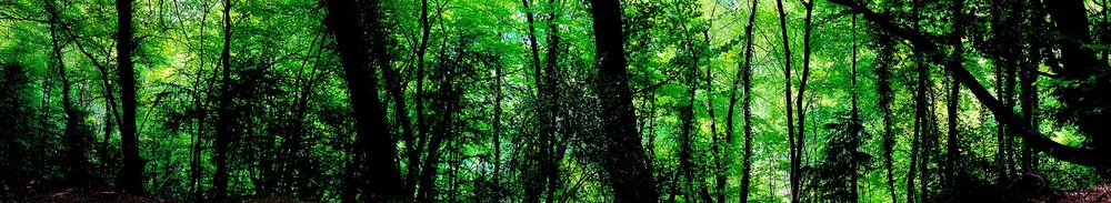 Like something out of Middle Earth. <a href=" http://thomastolkien.wordpress.com " target="_blank" rel="nofollow">Website</a> | <a href="…