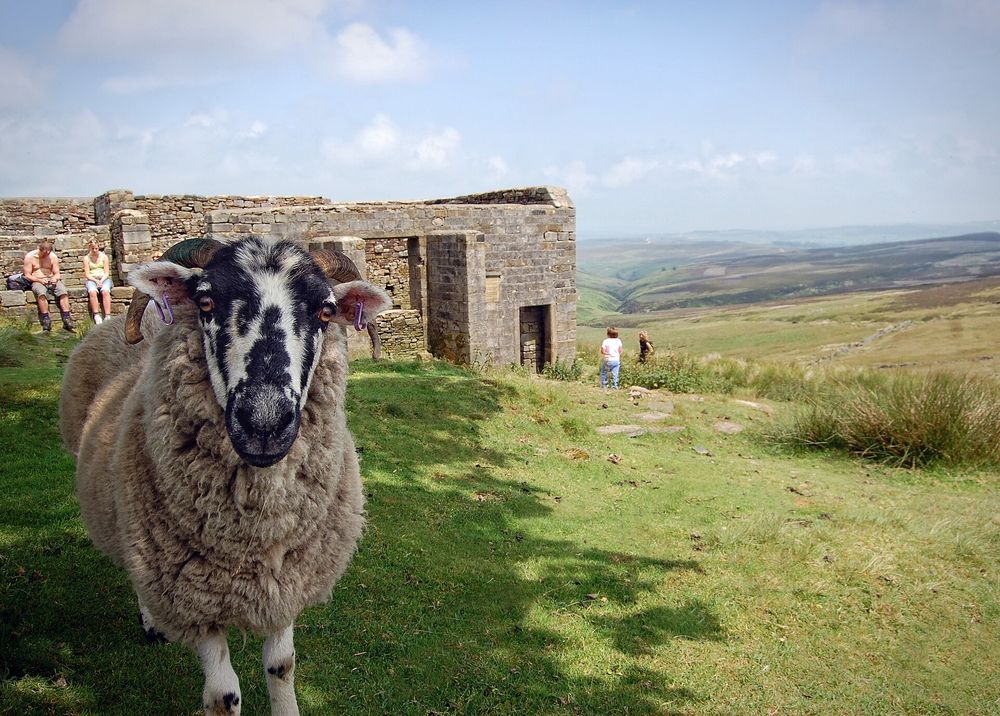 Yorkshire moorland near Haworth