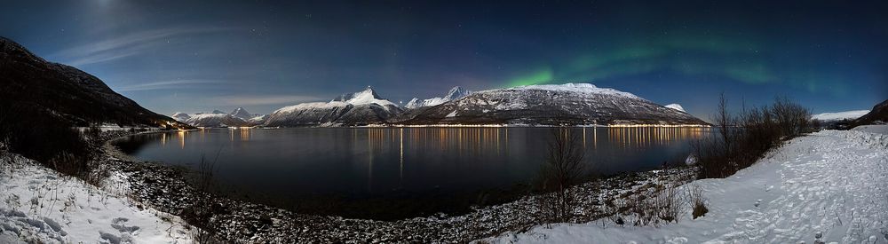 Green and purple aurora borealis illuminating a clear night sky over a rugged Arctic landscape
